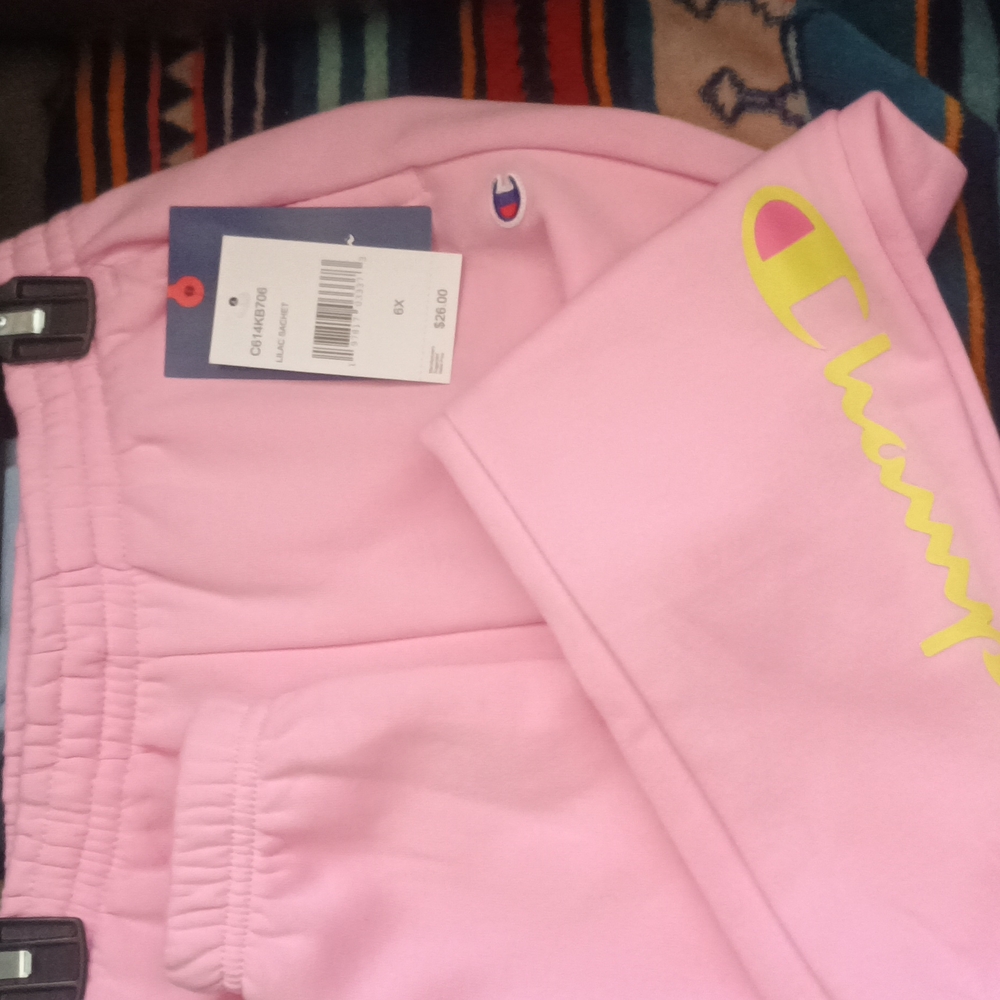 Little girls champion sweat pants